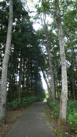 DSC01836_20120922.jpg