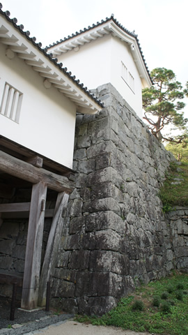 DSC01853_20120922.jpg