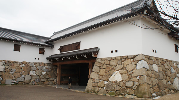 DSC02009_20121222.jpg