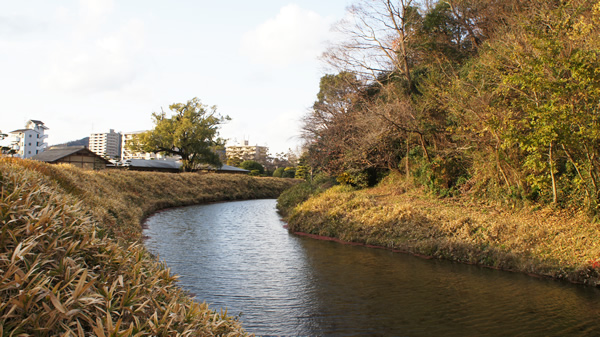 DSC02053_20121223.jpg