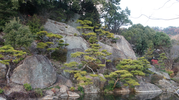 DSC02057_20121223.jpg