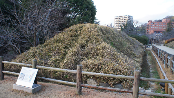 DSC02059_20121223.jpg