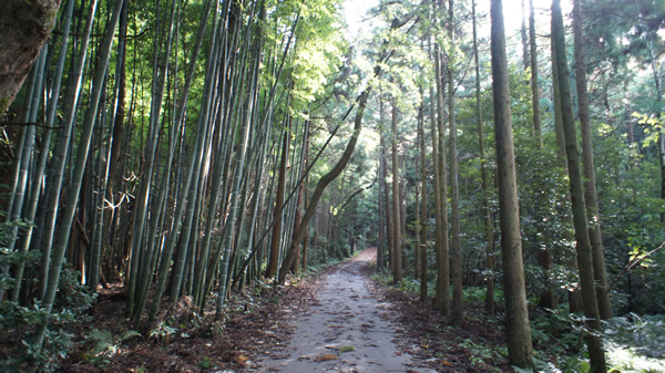 DSC03187_20131109.jpg