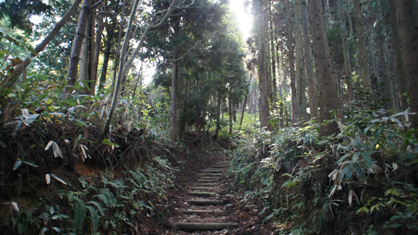 DSC03189_20131109.jpg