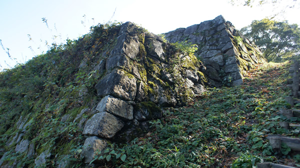 DSC03222_20131109.jpg