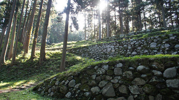 DSC03238_20131109.jpg