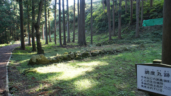 DSC03243_20131109.jpg