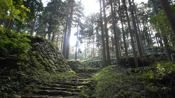 DSC03250_20131109.jpg