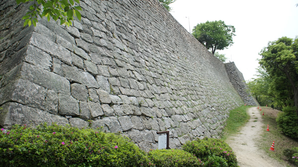 DSC03359_20140429.jpg