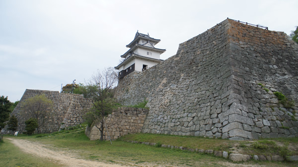 DSC03364_20140429.jpg