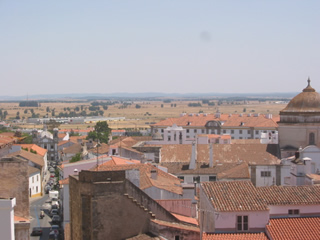 IMG_0155.jpg