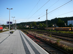 P1000617.jpg