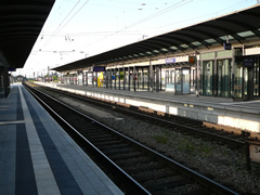 P1000618.jpg