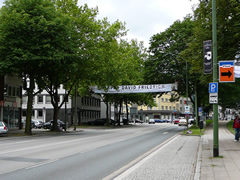 P1000714.jpg