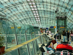 P1000871.jpg