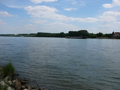 P1000872.jpg