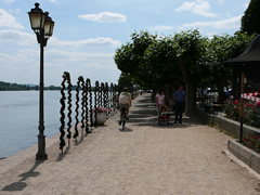 P1000885.jpg