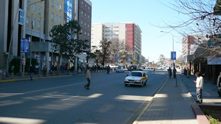 P1170775.jpg